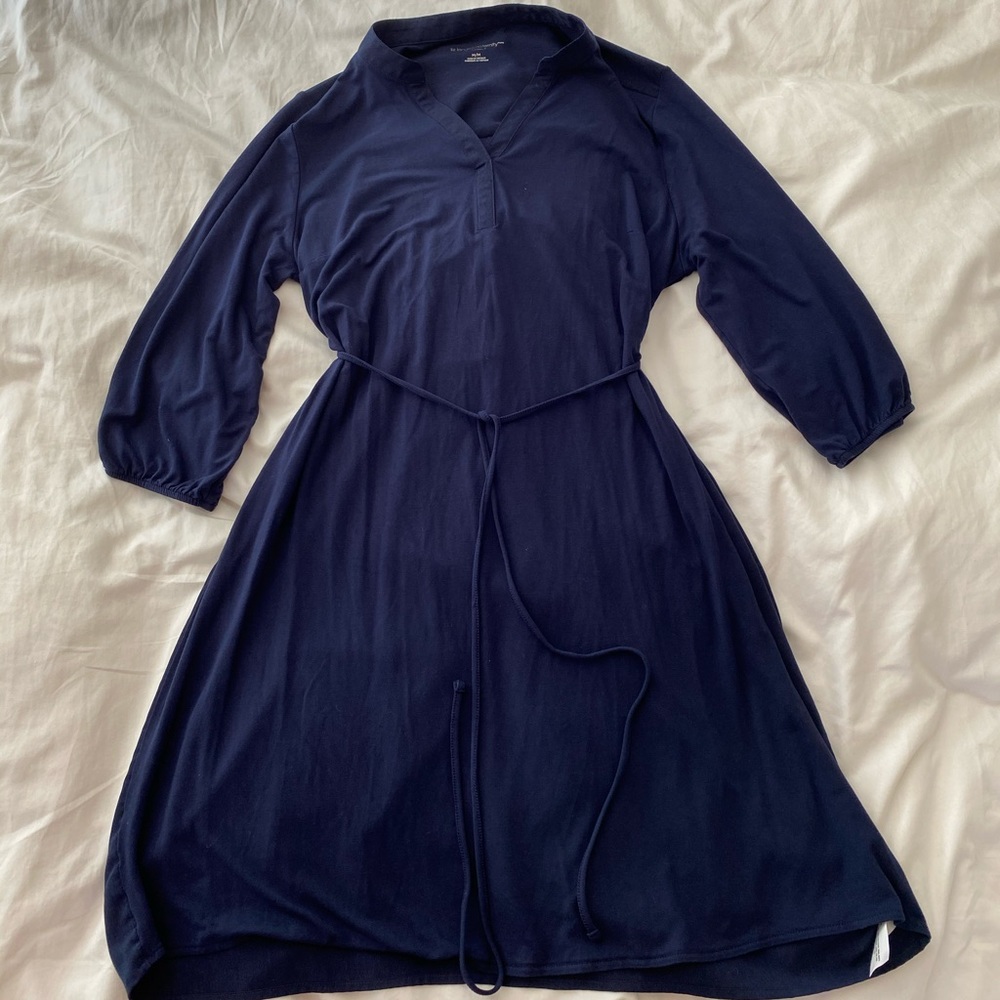 Liz Lang Maternity Dress